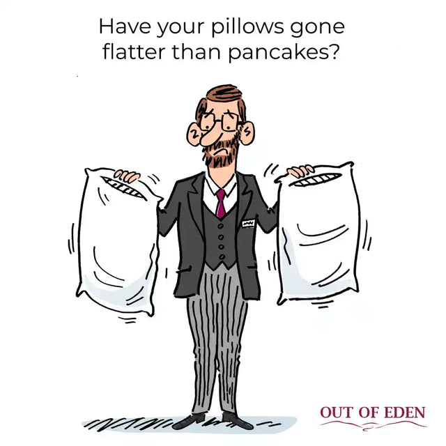 Wash & Bounce Pillow