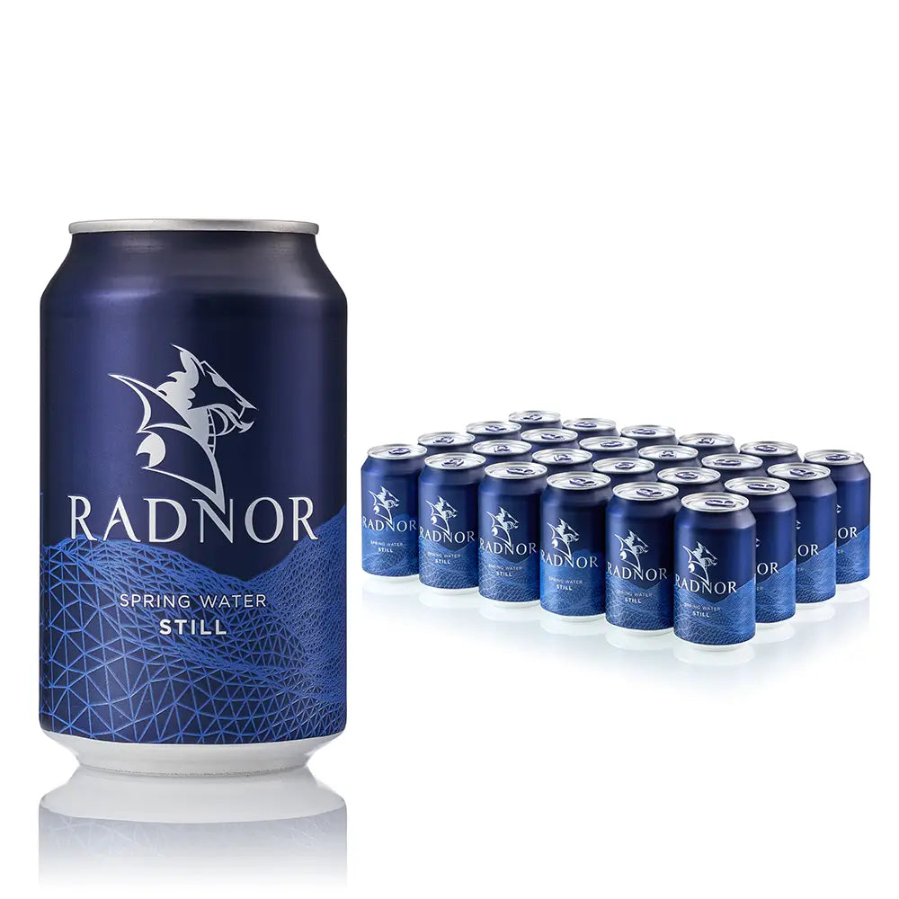 Radnor Hills Still Spring Water Cas 330ml