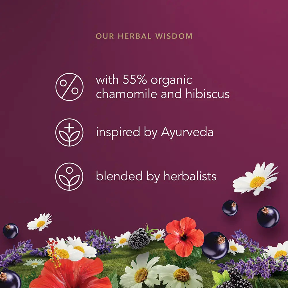 Pukka Night Time Berry Tea Bags Tag and Envelope - Pack of 20