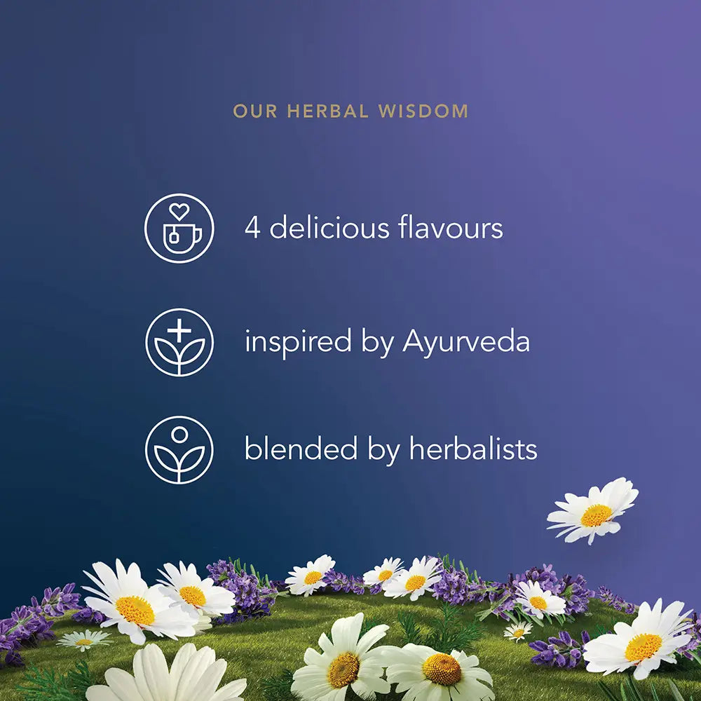 Pukka Herbal Collection Tea Bags Tag and Envelope - Pack of 20