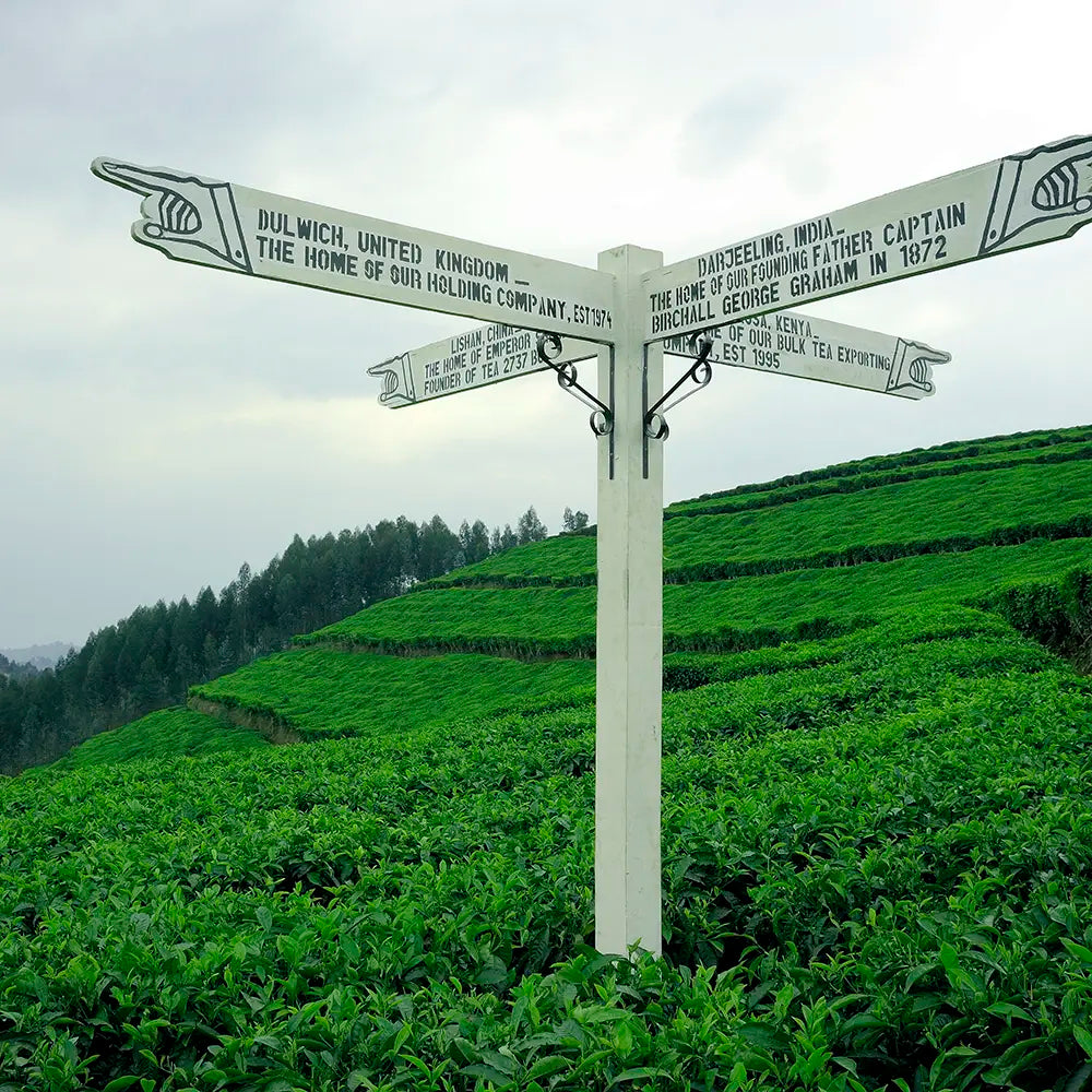 Sign in a Birchall Tea Field