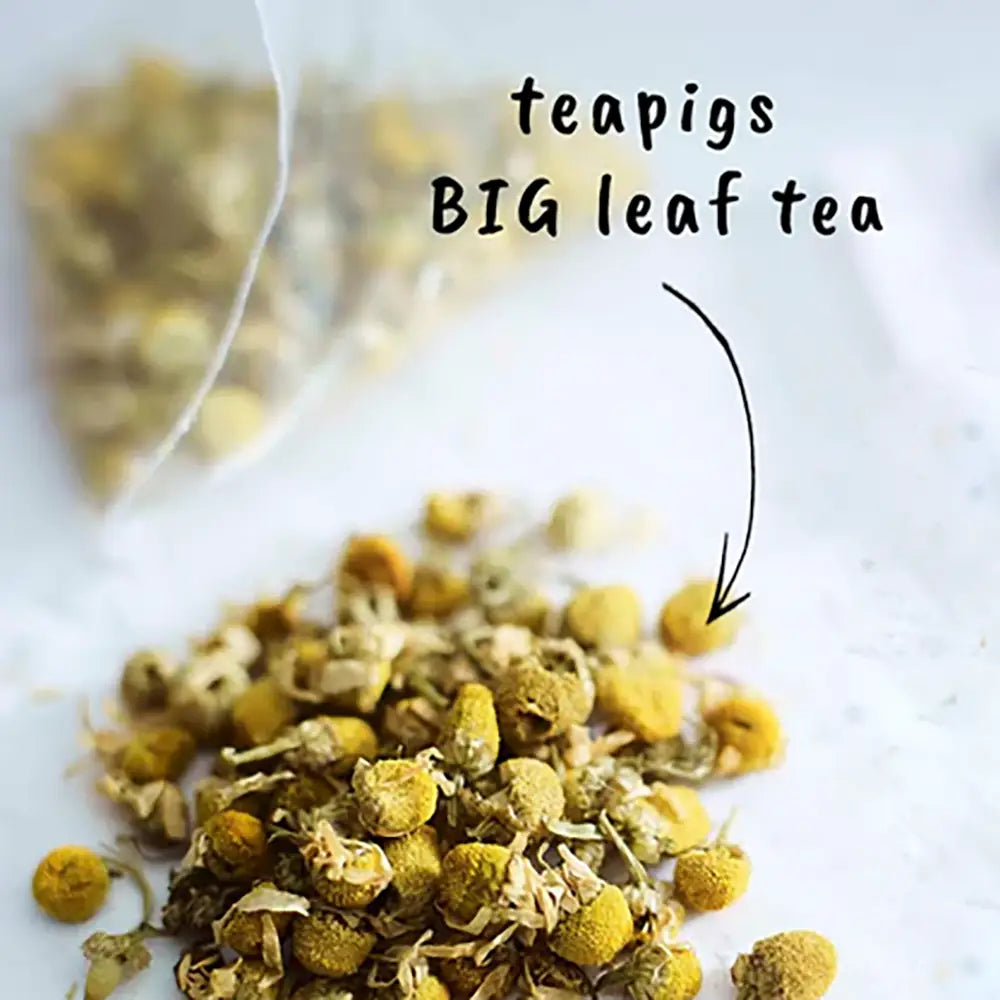 Teapigs Chamomile Tea Bags Tag & Envelope - Pack of 50