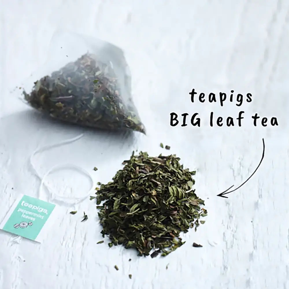 Teapigs Peppermint Tea Bags Tag & Envelope - Pack of 50