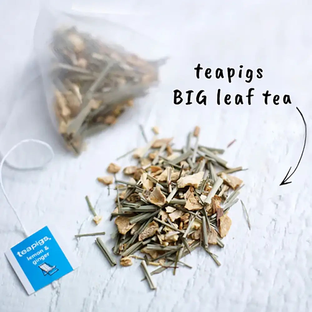 Teapigs Lemon & Ginger Tea Bags Tag & Envelope - Pack of 50