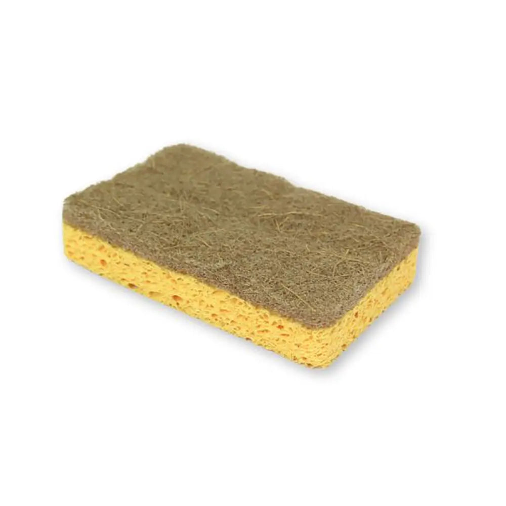Sponge Scourer
