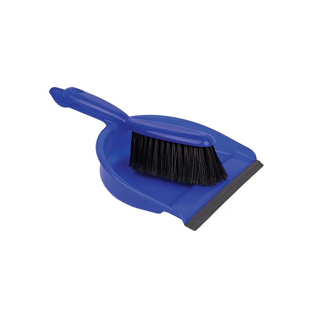 Blue Dustpan & Soft Brush Set