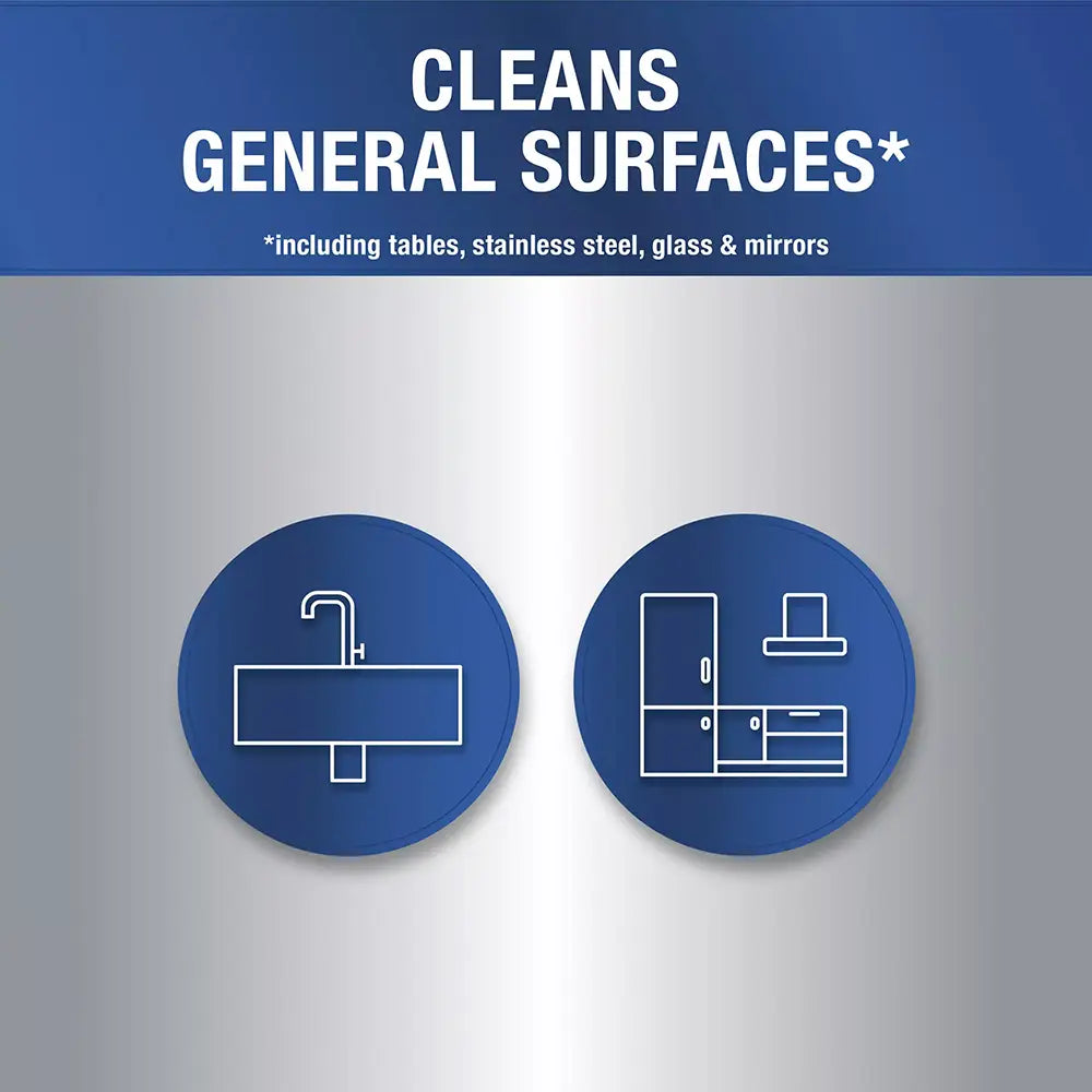 Flash Professional Multi-Purpose Cleaner with Bleach 750ml