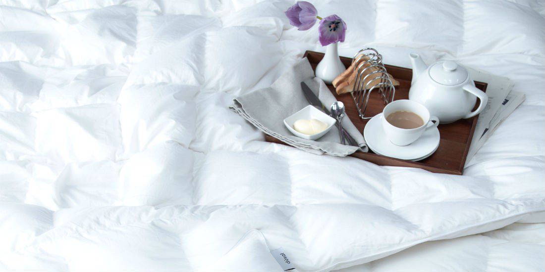 Combatting the 3 Ps: Plastic, Parabens and Palm Oil