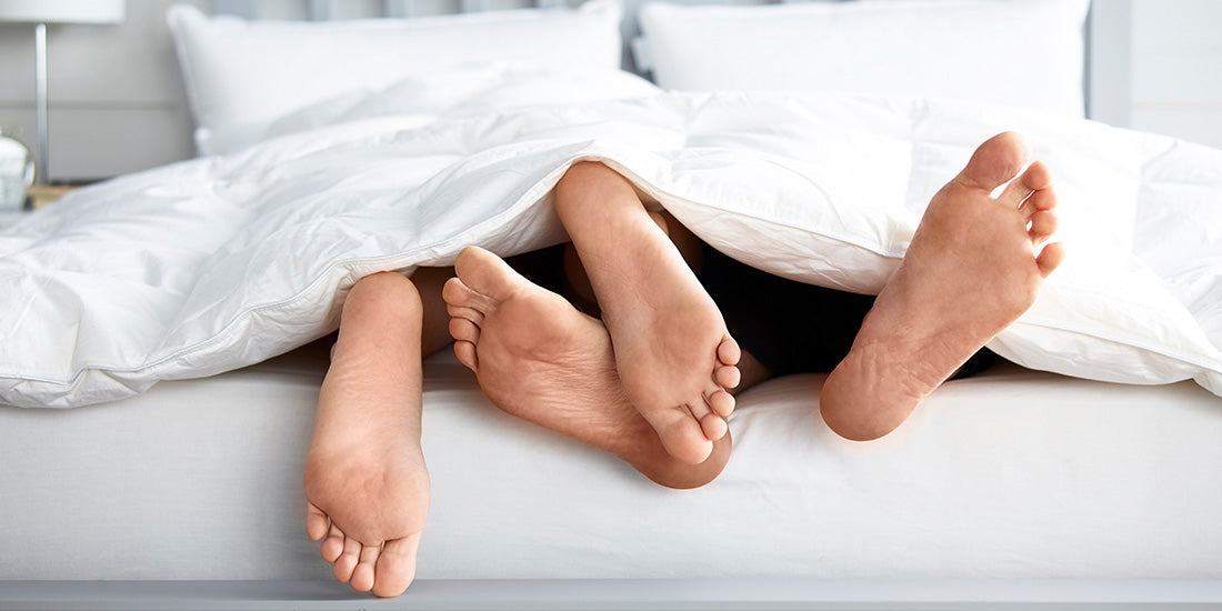 Time to Get Cosy for Winter