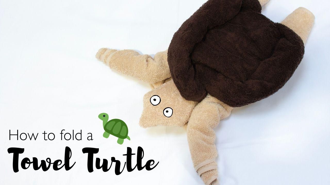Towel Art Tuesday: How to fold a towel turtle