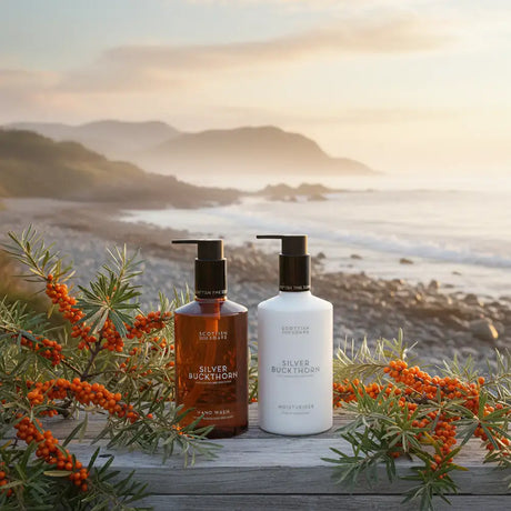 Two bottles of Scottish Fine Soaps Silver Buckthorn hand care products, a brown bottle and a white bottle, displayed on a wooden surface with greenery and orange sea buckthorn berries in the foreground, set against a scenic coastal landscape at sunset.