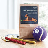 Dog-Friendly Essentials