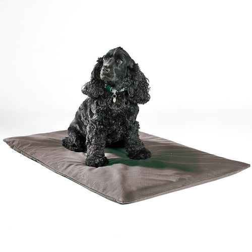 Odour-Control Dog Mat