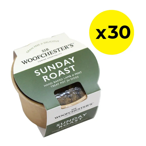 Sir Woofchester’s Hand Baked Dog Treat Pots - Pack of 30