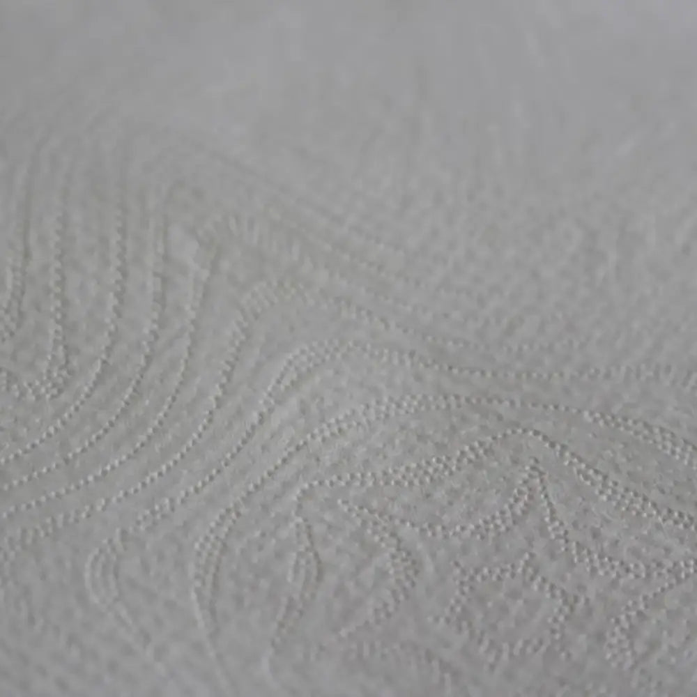 Bulk Pack Toilet Tissue 2 Ply - Pack of 30 x 300 Sheets